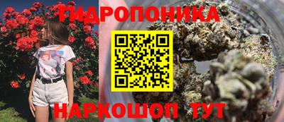 марихуана Будённовск