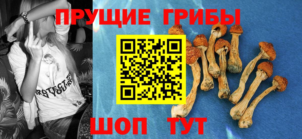 Армавир  Галлюциногенные грибы Magic Shrooms  Вход с VPN 
