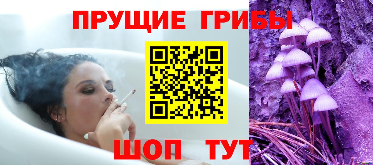 Псилоцибиновые грибы прущие грибы Армавир
